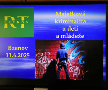 Rozvojový tím v akcii / Majetková kriminalita u detí a mládeže - foto