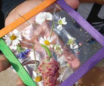 Rozvojový tím v akcii / Lúčna galéria - Kreatívne deti v akcii! - foto