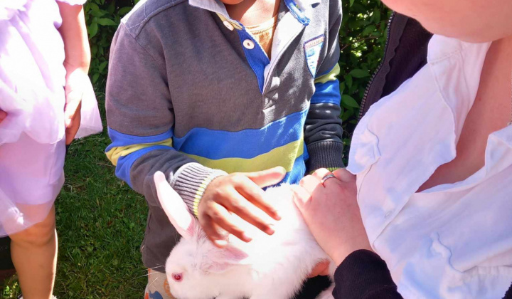 6. fotografia fotogalérie Rozvojový tím v akcii / Animal terapia  - foto