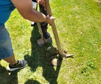 Rozvojový tím v akcii / Vysadenie budúceho vianočného stromčeka - foto