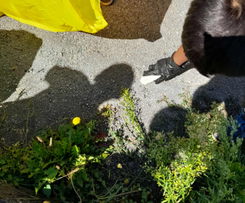 Rozvojový tím v akcii / Letná prechádzka po obci – Spoločne za čistejšiu obec - foto