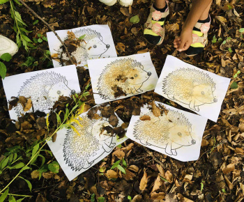 Rozvojový tím v akcii / Jesenní ježkovia v akcii!  - foto