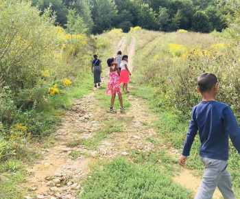 Rozvojový tím v akcii / Jesenní ježkovia v akcii!  - foto