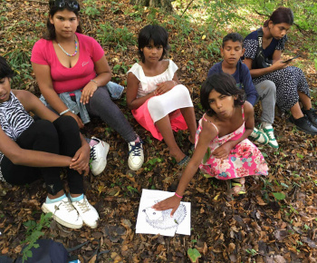 Rozvojový tím v akcii / Jesenní ježkovia v akcii!  - foto