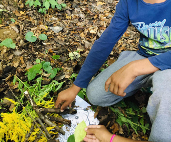 Rozvojový tím v akcii / Jesenní ježkovia v akcii!  - foto