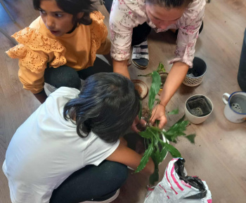 Rozvojový tím v akcii / Rozkvitnutá učebňa - foto