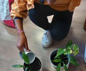 Rozvojový tím v akcii / Rozkvitnutá učebňa - foto