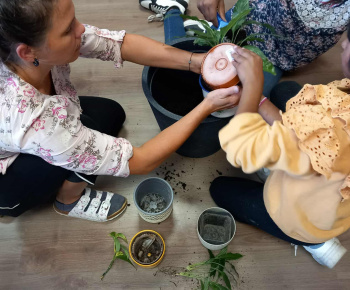 Rozvojový tím v akcii / Rozkvitnutá učebňa - foto