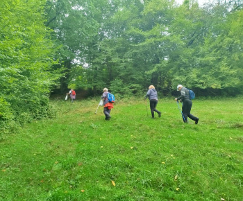Rozvojový tím v akcii / Jesenná náučná prechádzka v lese - foto