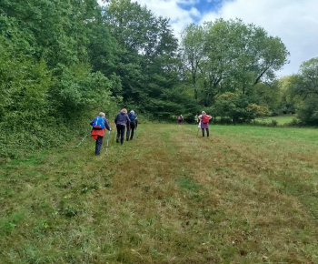 Rozvojový tím v akcii / Jesenná náučná prechádzka v lese - foto