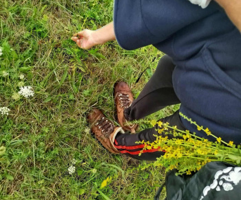 Rozvojový tím v akcii / Jesenná náučná prechádzka v lese - foto