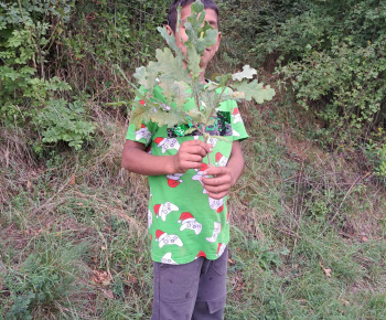 Rozvojový tím v akcii /  Farebná jeseň v lese  - foto