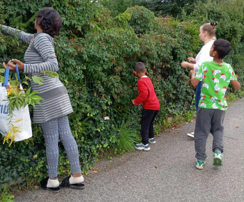 Rozvojový tím v akcii /  Farebná jeseň v lese  - foto