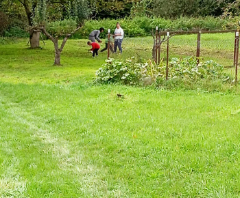 Rozvojový tím v akcii /  Farebná jeseň v lese  - foto