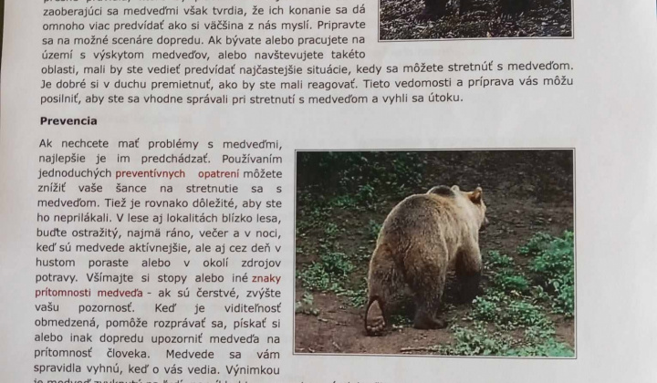 4. fotografia fotogalérie Rozvojový tím v akcii / Dobrodružné stretnutie s medveďom  - foto