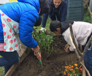 Rozvojový tím v akcii / Záhrada chuti a krásy - foto