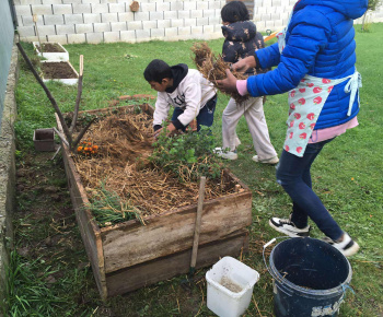 Rozvojový tím v akcii / Záhrada chuti a krásy - foto