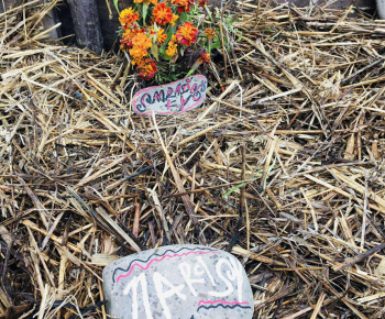 Rozvojový tím v akcii / Záhrada chuti a krásy - foto