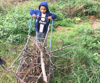 Rozvojový tím v akcii / Záhrada chuti a krásy - foto