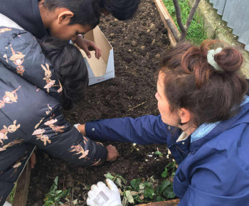 Rozvojový tím v akcii / Záhrada chuti a krásy - foto