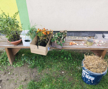 Rozvojový tím v akcii / Záhrada chuti a krásy - foto