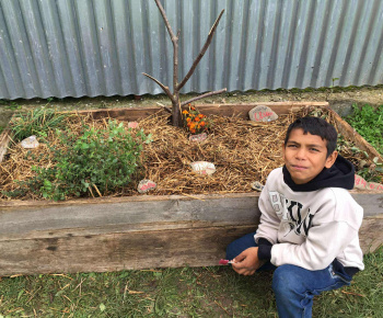 Rozvojový tím v akcii / Záhrada chuti a krásy - foto