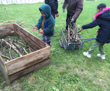 Rozvojový tím v akcii / Záhrada chuti a krásy - foto
