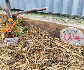 Rozvojový tím v akcii / Záhrada chuti a krásy - foto