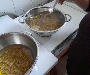 Rozvojový tím v akcii / Babské recepty proti chrípke - foto