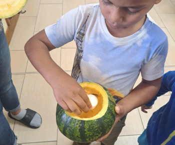 Rozvojový tím v akcii / Tekvicové dobrodružstvo - foto