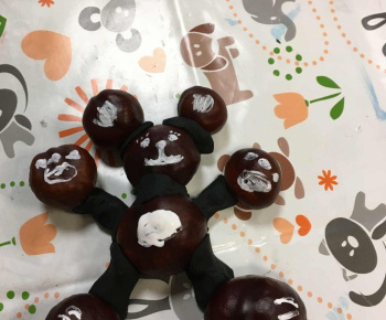 Rozvojový tím v akcii / Gaštany v pozore  - foto