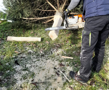 Rozvojový tím v akcii / Obecný vianočný stromček pripravený v plnej paráde - foto