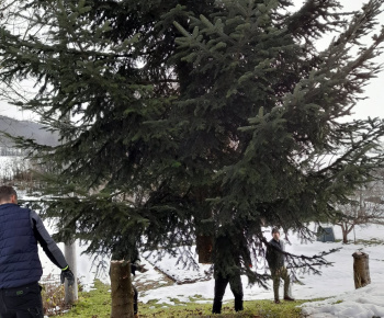 Rozvojový tím v akcii / Obecný vianočný stromček pripravený v plnej paráde - foto