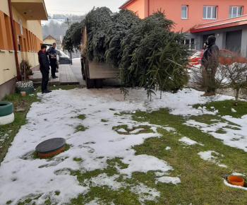 Rozvojový tím v akcii / Obecný vianočný stromček pripravený v plnej paráde - foto