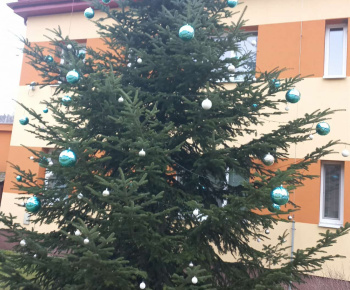 Rozvojový tím v akcii / Obecný vianočný stromček pripravený v plnej paráde - foto