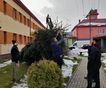Rozvojový tím v akcii / Obecný vianočný stromček pripravený v plnej paráde - foto