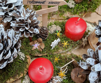 Rozvojový tím v akcii / Kreatívne popoludnie so seniormi – tvorenie, rozhovory a dobrá nálada - foto