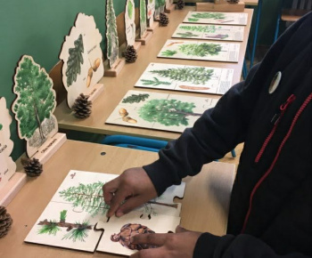 Rozvojový tím v akcii / Deň otvorených dverí – SOŠ Lesnícka - foto