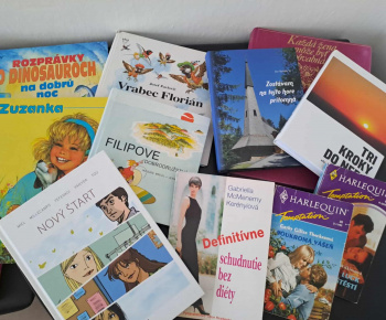 Rozvojový tím v akcii / Knižná búdka žije vďaka vám - foto