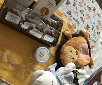 Rozvojový tím v akcii / Zdravá energia – dievčenské popoludnie plné otvorenosti a podpory  - foto