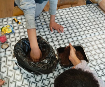 Rozvojový tím v akcii / Priesady do záhradky“ – od semienka k rastlinke - foto