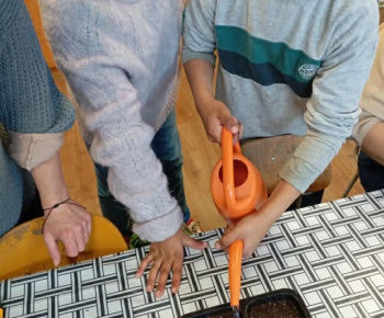 Rozvojový tím v akcii / Priesady do záhradky“ – od semienka k rastlinke - foto