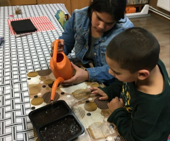 Rozvojový tím v akcii / Priesady do záhradky“ – od semienka k rastlinke - foto