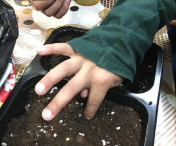 Rozvojový tím v akcii / Priesady do záhradky“ – od semienka k rastlinke - foto