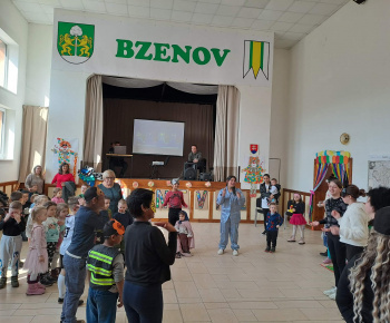 Rozvojový tím v akcii / Bzenovský karneval - foto