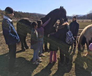 Rozvojový tím v akcii / Učíme sa pre život: Na gazdovskom dvore  - foto