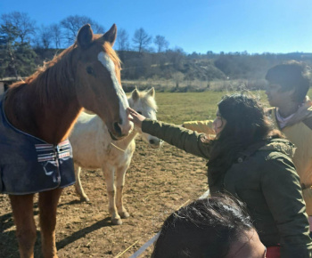 Rozvojový tím v akcii / Učíme sa pre život: Na gazdovskom dvore  - foto