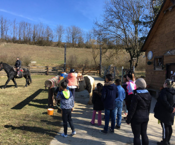 Rozvojový tím v akcii / Učíme sa pre život: Na gazdovskom dvore  - foto
