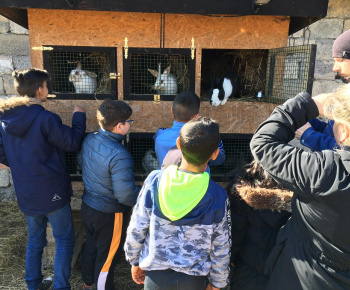 Rozvojový tím v akcii / Učíme sa pre život: Na gazdovskom dvore  - foto