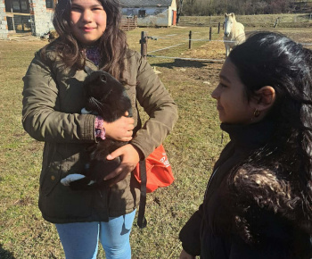 Rozvojový tím v akcii / Učíme sa pre život: Na gazdovskom dvore  - foto